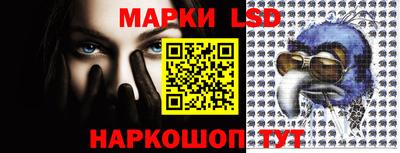 spice Кандалакша