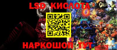 spice Кандалакша