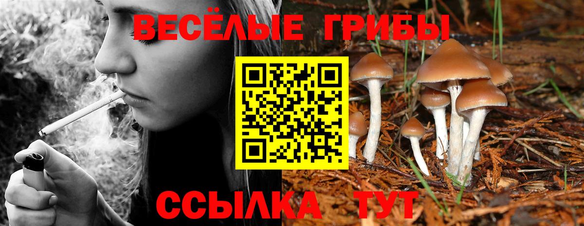 Псилоцибиновые грибы прущие грибы Фурманов